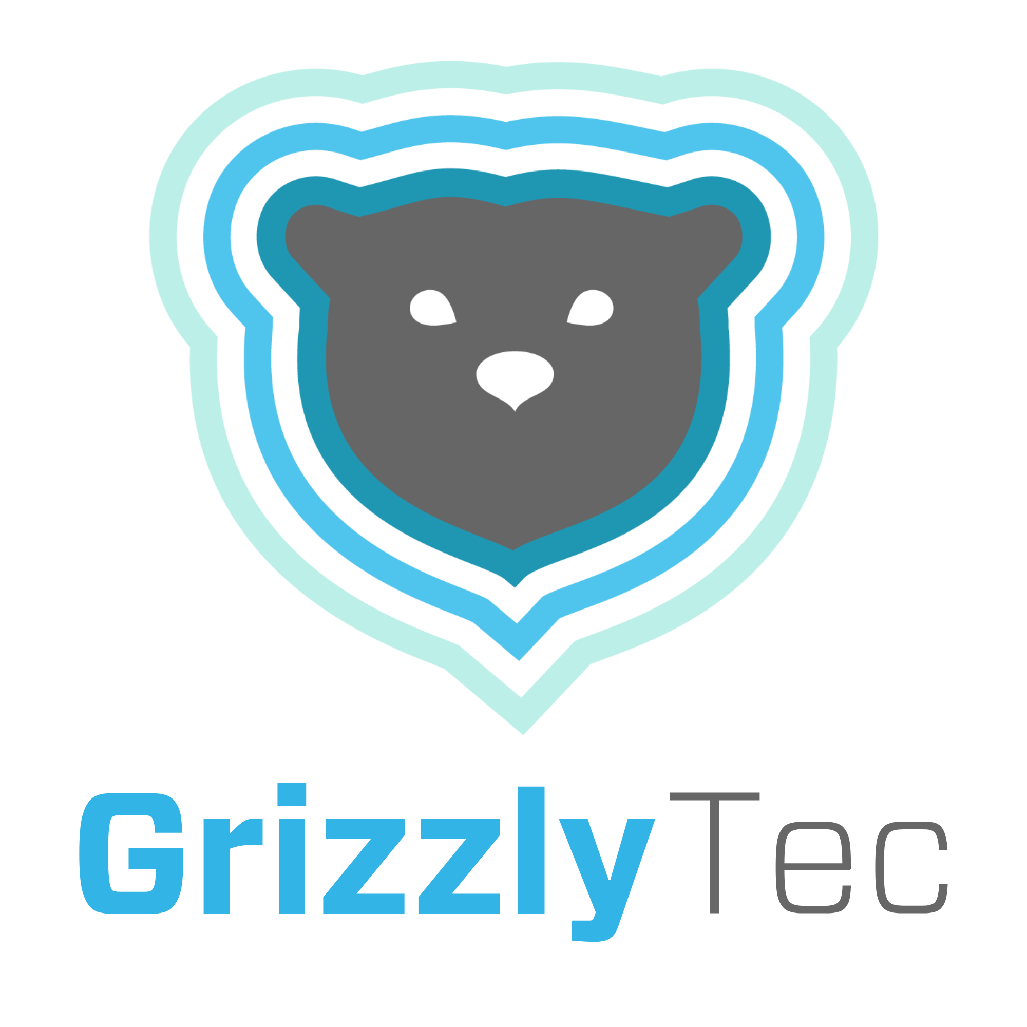 Grizzly Tec — Smart Home Automation Houston TX